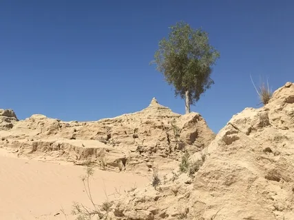 Day 8 - Connection - Daily 5 Minute Mediation