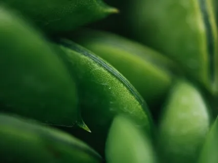 Day 8 Eco Challenge: Finding Balance