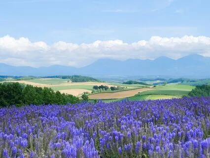 Day 8 - Expanding Breath