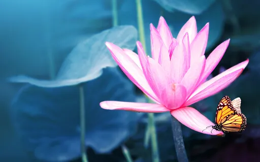 Day 8: The Sacral Chakra