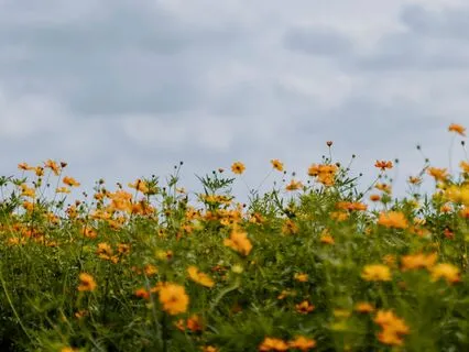 Day 9 - 4, 7, 8 Breathing