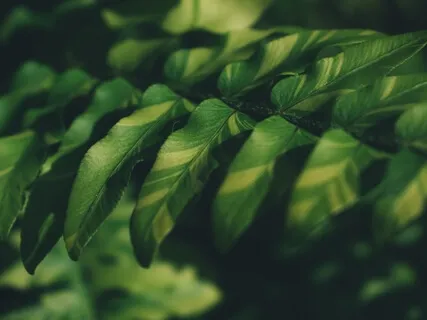 Day 9 Eco Challenge: Living With Knowledge & Intention