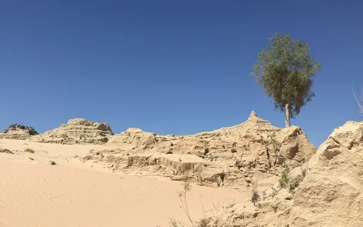 Day 9 - The Space Between- Daily 5 Minute Meditation