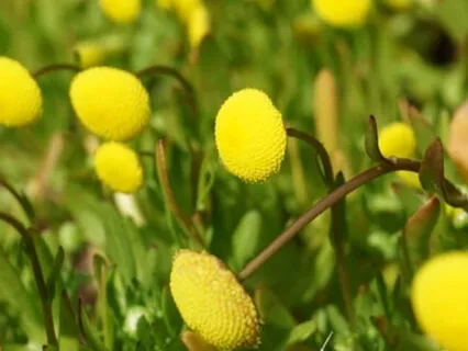 Day Affirmation Mediation 