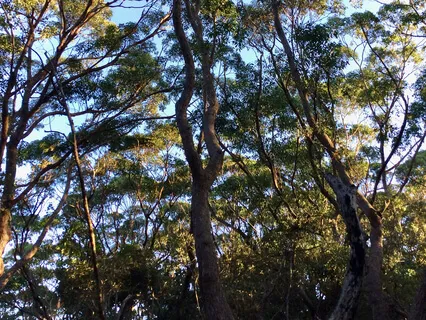 Day Break (Extended)