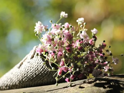 Day One - 5 Minute Breath Practice