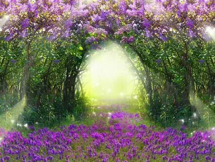 Day Seven: Morning Whispers Of The Heart: Inner Light