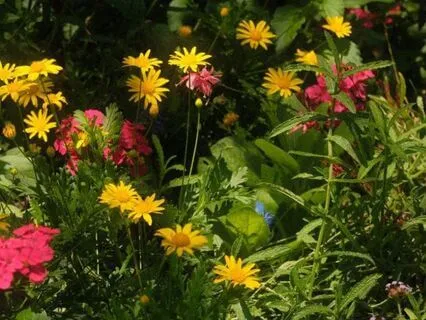 Day Ten: Morning Whispers Of The Heart: Garden Of Grace