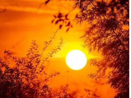 Day Two: Morning Whispers Of The Heart: The Quiet Within