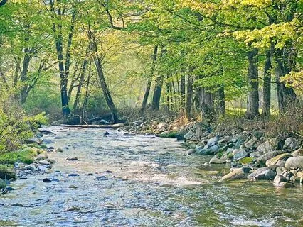 Daydream River For Meditation And Sleep