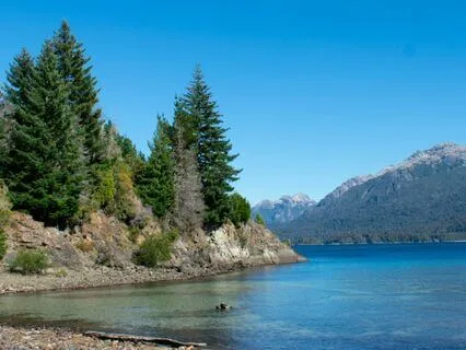 Daylight Reflections