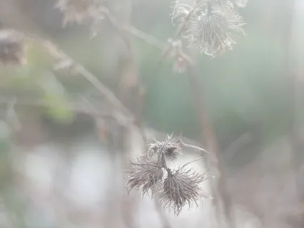 Reset And Release - Daytime 