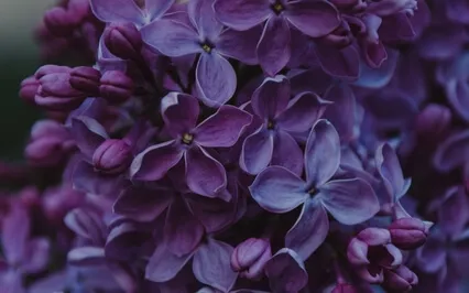 De-Stress Affirmation Boost