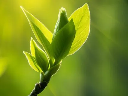 De-Stress After Work | Decompress | Unwind