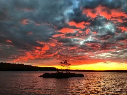 Anxiety From COVID & Relief Sound Bath: "Relax & Be"