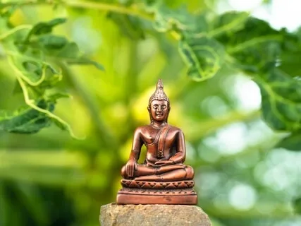 Deactivating The 4 Veils That Cover Our Mind/peace, Cellove