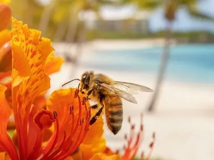 Deal With Set-Backs In Business