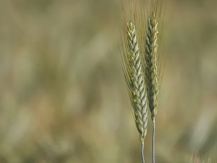 Dealing With A Racing Mind 