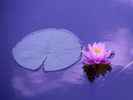 Dealing With A Turbulent Environment Per The Advaitic Path