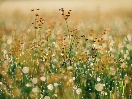 Dealing With Anxiety