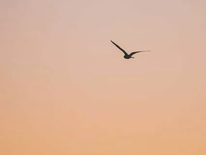 Dealing With Challenging Emotions