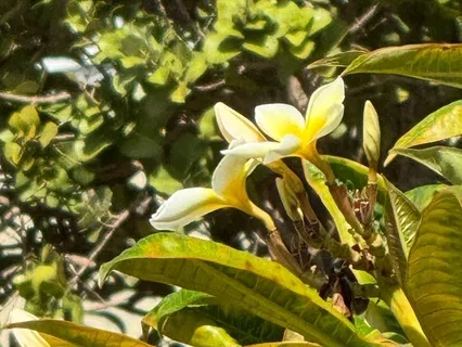 Dealing With Challenging Situations