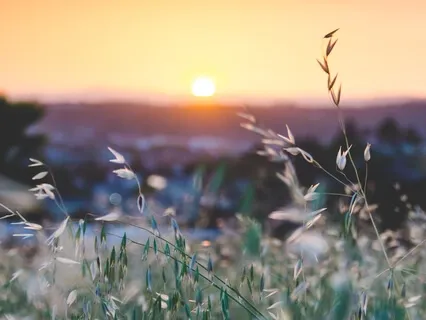 Dealing With Difficult Emotions 