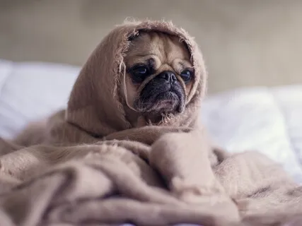 Dealing With Difficult Emotions (RAIN) Meditation 