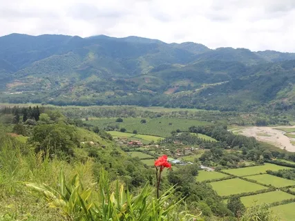 Dealing With Difficult Times