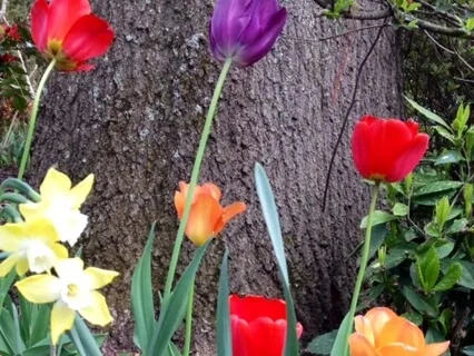 Dealing with Disappointment