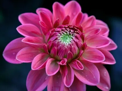 Dealing With Discomfort