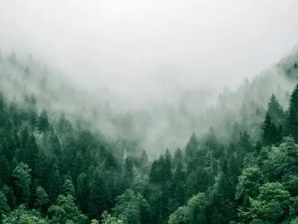 Dealing With Fear: A Grounding Meditation