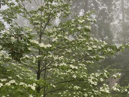 Dealing With Grief & Loss & Celebrating Change In Our Lives