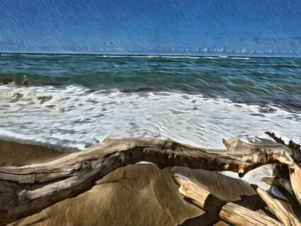 Dealing With Life's Challenges