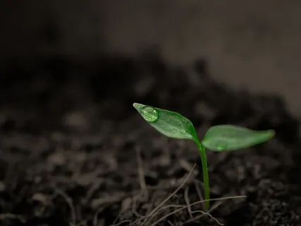 Dealing With My Grief With Darwyn Dave