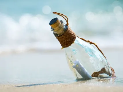 Dealing With Overwhelm - The Story Of 2 Stallions: Diabetes