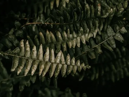 Dealing With Painful Emotions