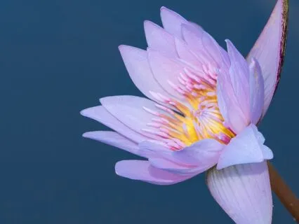 Dealing With Rejection