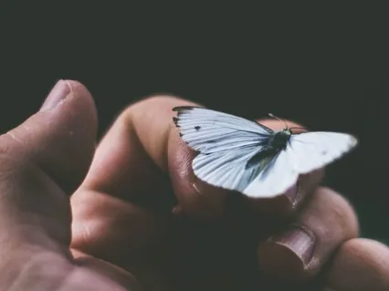 Dealing With Emotional Pain & Finding Peace