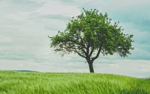 Dealing With The Feeling: Pain