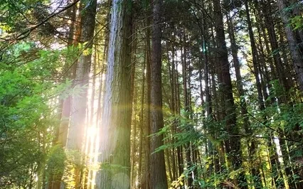 Dealing With The Inner Critic