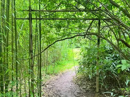 Dealing With The Loss Of Your Departed Animal Companion