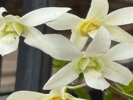 Dealing With The Unknown By Being Aware Of Now