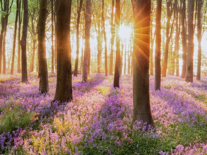 Get A Hold Of Your Intrusive Thoughts