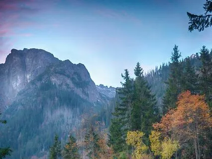 Dear Universe A Morning Prayer