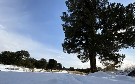Death And Rebirth- Embodiment For The Winter Solstice
