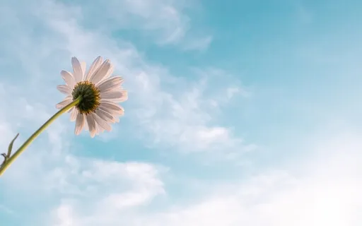 Death - Graduating Into Life