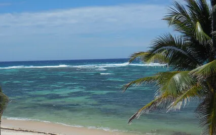 Death The Freedom From Fear & Greed