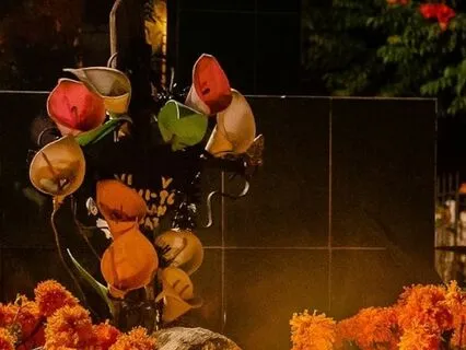 Death & Transitions- Connecting To Loved Ones