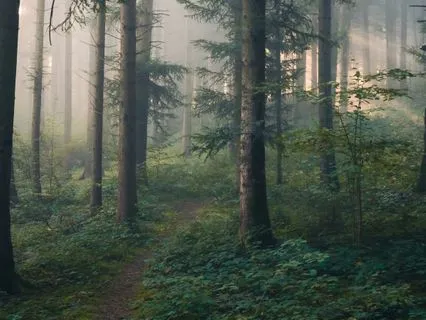 Debugging Inefficient Code • Triangulate • NO Music • V3.4